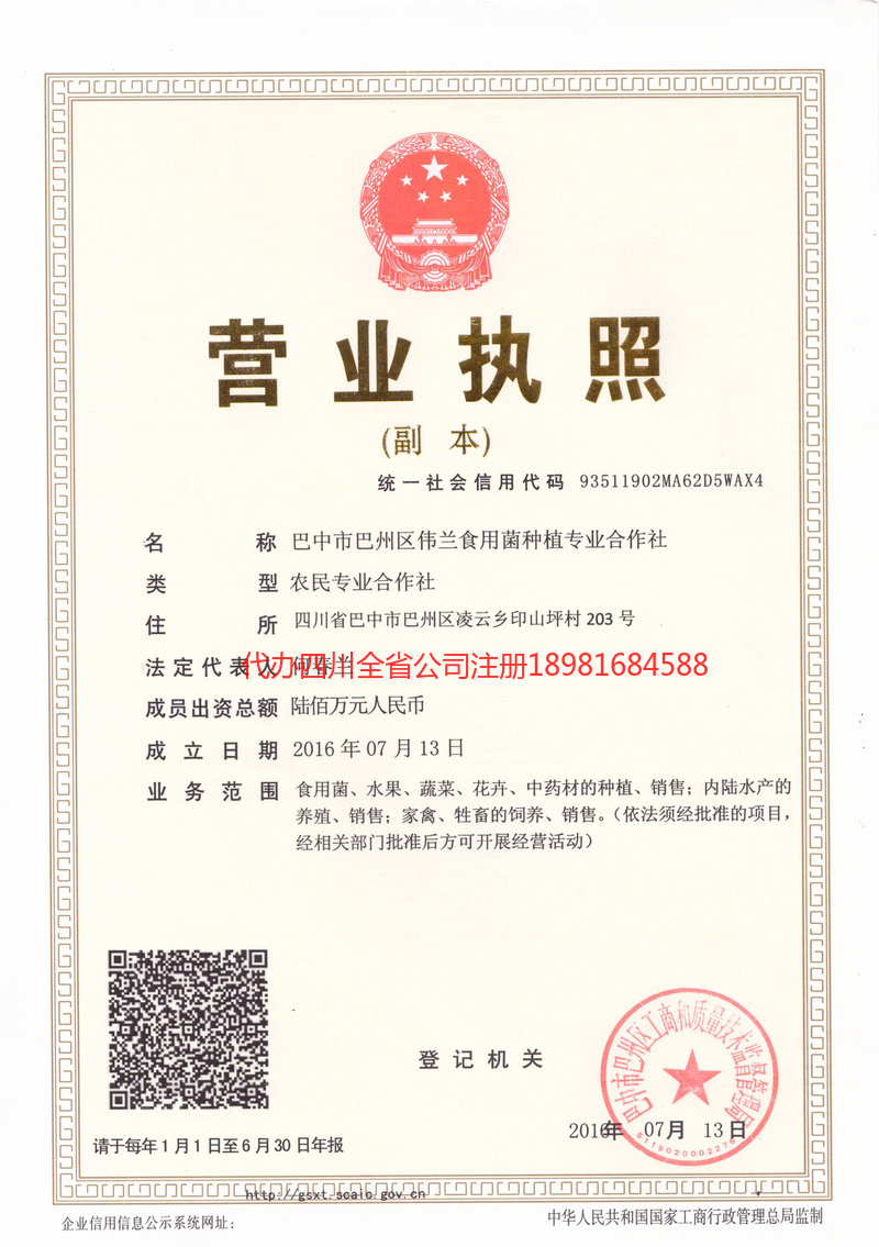 铁力铁力伟兰食用菌种植专业合作社